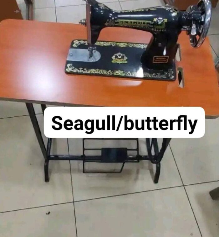 Complete seagull butterfly