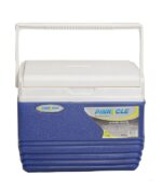 Pinnacle Cooler Box 4.5L